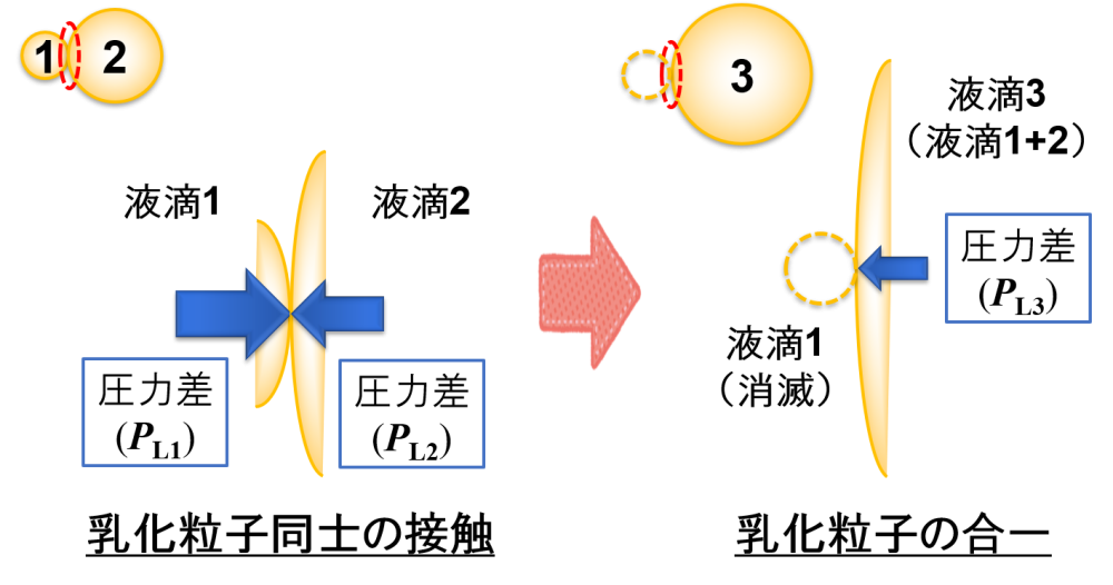 乳化粒子同士の接触に伴う合一